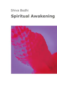 Spiritual Awakening : Thoughts, illusions and aberrations on the path to spiritual awakening for Yogis and Buddhists.