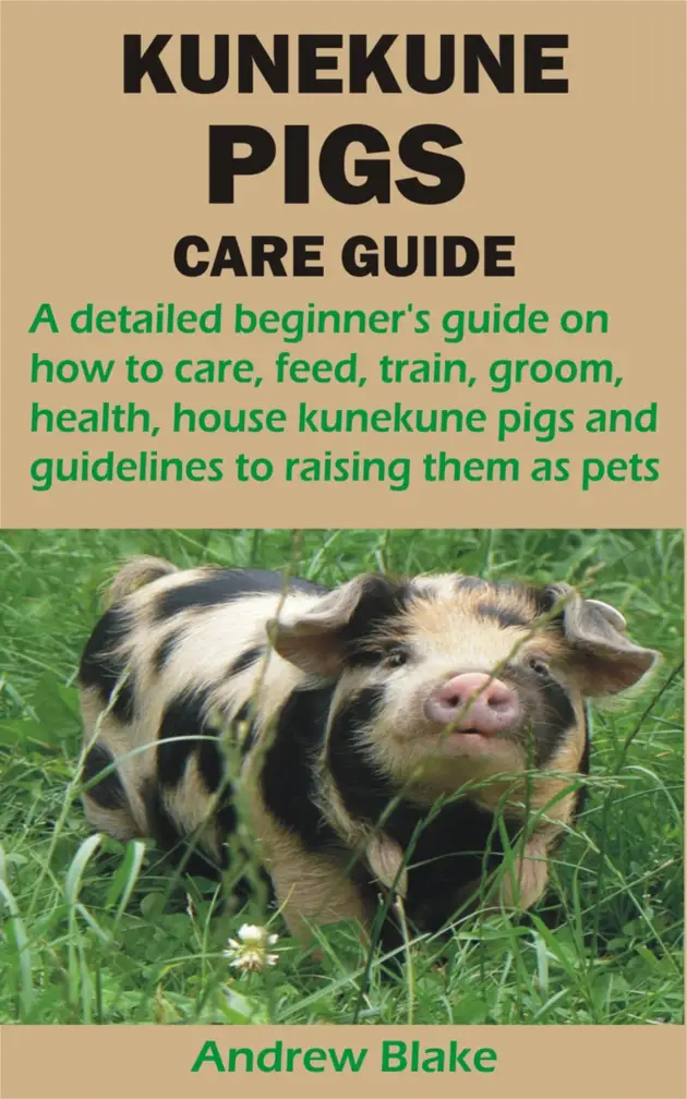 KUNEKUNE PIGS CARE GUIDE A detailed beginner's guide on how to care