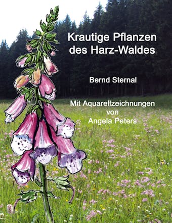 Krautige Pflanzen des Harz-Waldes - Bernd Sternal