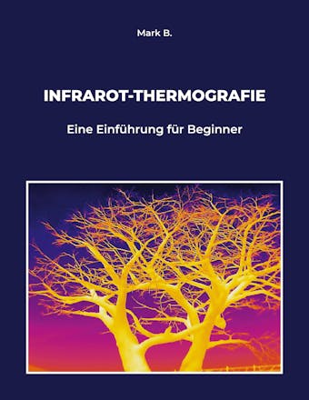 Infrarot-Thermografie - undefined