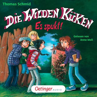 Die Wilden Küken 4. Es spukt!: Gekürzte Lesung - Thomas Schmid