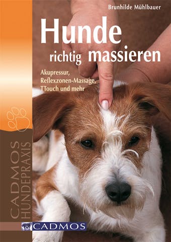 Hunde richtig massieren: Akupressur, Reflexzonen-Massage, TTouch und mehr - undefined