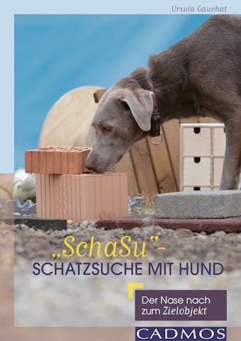 "SchaSu" - Schatzsuche mit Hund: Der Nase nach zum Zielobjekt - Ursula Gauchat