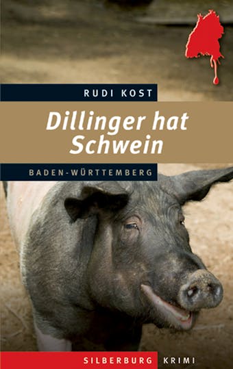 Dillinger hat Schwein: Ein Baden-Württemberg-Krimi - Rudi Kost