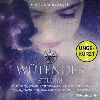 WÃ¼tender Sturm  (Die Farben des Blutes 4) - Victoria Aveyard