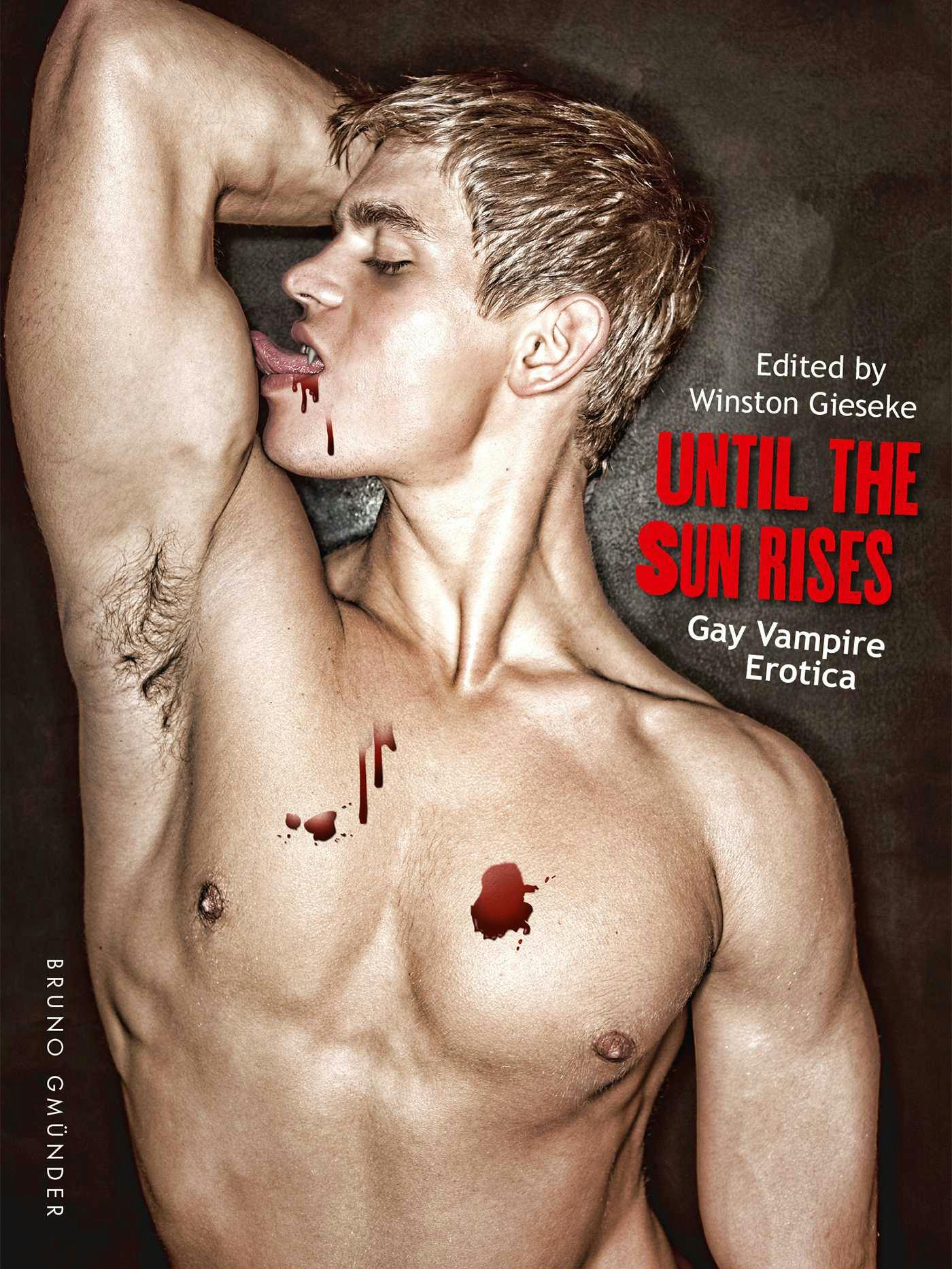 Until The Sun Rises : Gay Vampire Erotica | E-book | Anonymous | Nextory