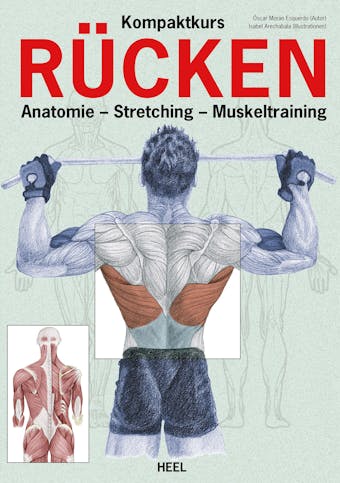 Kompaktkurs Rücken: Anatomie - Stretching - Muskeltraining - Oscar Moran Esquerdo
