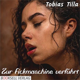 Zur Fickmaschine verführt (Unabridged) - Tobias Tilla