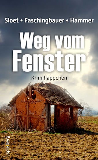 Weg vom Fenster - Wolfgang Hammer, Rolf Peter Sloet, Manfred Faschingbauer