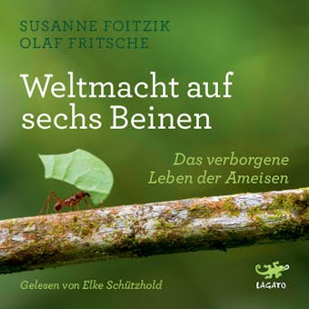 Weltmacht auf sechs Beinen: Das verborgene Leben der Ameisen - Olaf Fritsche, Susanne Foitzik