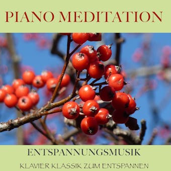 Piano Meditation – Entspannungsmusik: Klavier Klassik zum Entspannen - Filip Lundqvist