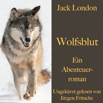 WOLFSBLUT - Jack London