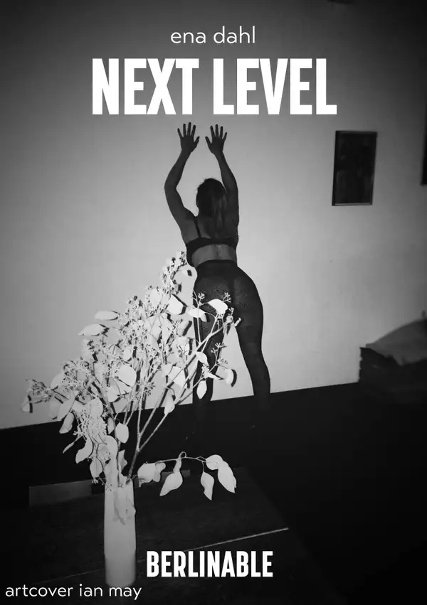 Next Level : A BDSM Revelation