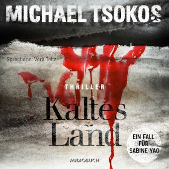 Kaltes Land - Michael Tsokos