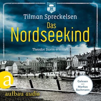Das Nordseekind - Theodor Storm ermittelt (UngekÃ¼rzt) - Tilman Spreckelsen