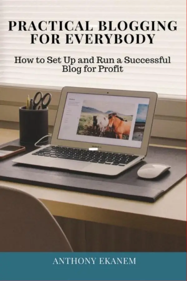 Practical Blogging for Everybody : How to Set Up and Run a Successful Blog for Profit
