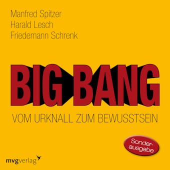 Big Bang: Vom Urknall zum Bewusstsein - Manfred Spitzer, Harald Lesch, Friedemann Schrenk
