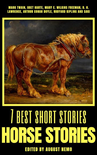 7 best short stories - Horse Stories - undefined