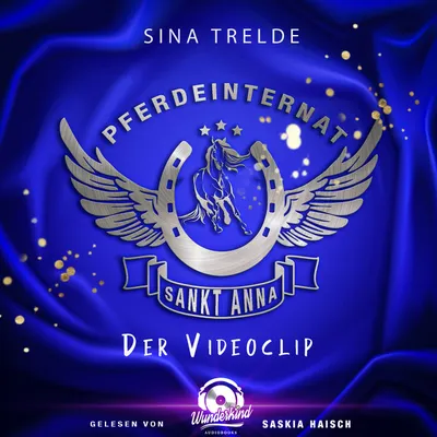 Cover von Der Videoclip