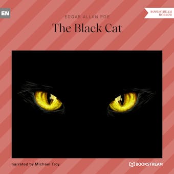 The Black Cat (Unabridged) - undefined