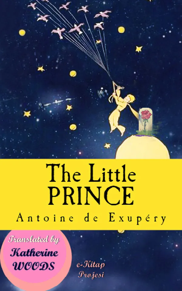 The Little Prince : [Illustrated Edition]