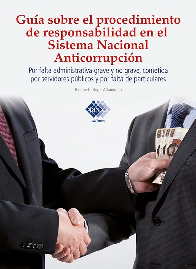Guía sobre el procedimiento de responsabilidad en el sistema nacional ...