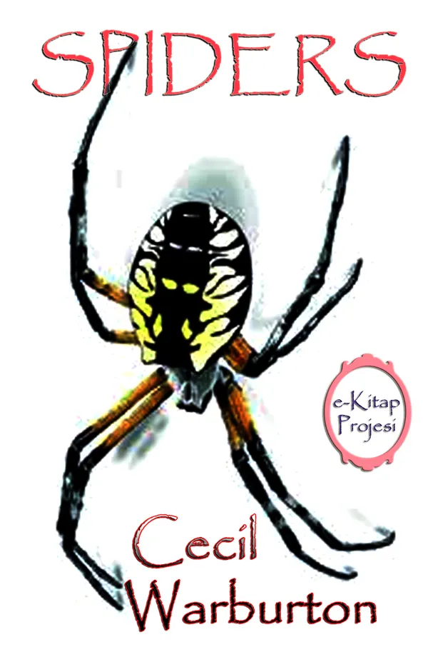Spiders