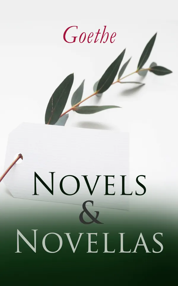 Goethe: Novels & Novellas : Romantic and Enlightenment masterworks of 18th-century Germany: Werther, Wilhelm Meister, Elective Affinities, and a classic fairy tale