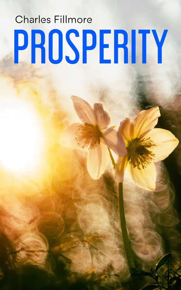 Prosperity : God Has Provided Prosperity for Every Home