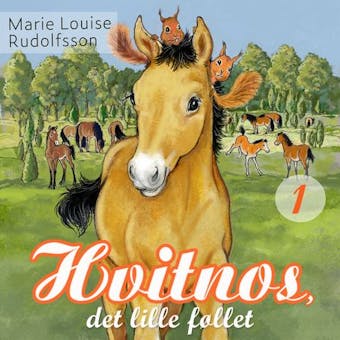 Hvitnos, det lille føllet - Marie Louise Rudolfsson