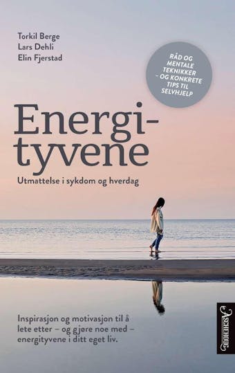 Energityvene: utmattelse i sykdom og hverdag - Elin Fjerstad, Lars Dehli, Torkil Berge