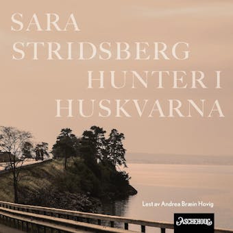 Hunter i Huskvarna - Sara Stridsberg