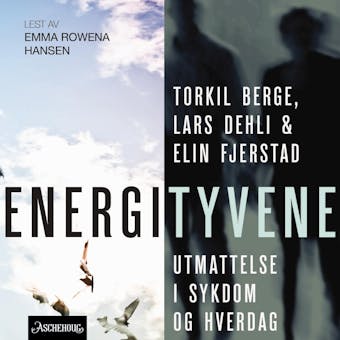 Energityvene: utmattelse i sykdom og hverdag - Elin Fjerstad, Lars Dehli, Torkil Berge