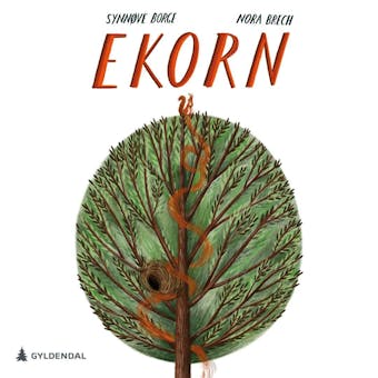 Ekorn: sciurus vulgaris - undefined