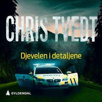 Djevelen i detaljene: kriminalroman