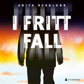 I fritt fall - Anita Berglund