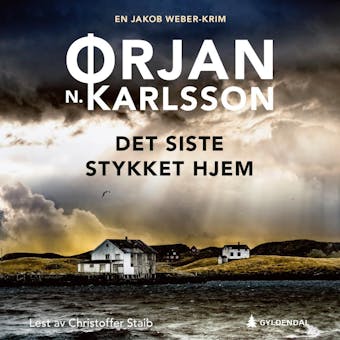 Det siste stykket hjem: kriminalroman - Ã˜rjan N. Karlsson