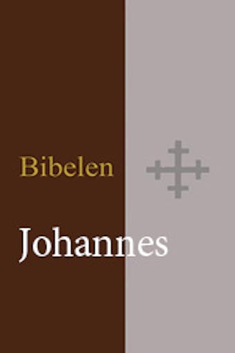 Johannes evangeliet Bibelen 2011 BM - Bibelselskapet