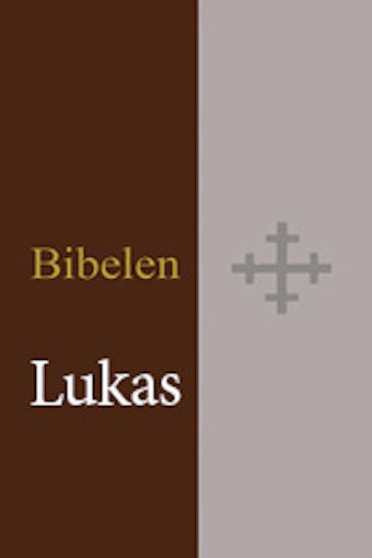 Matteus, Markus, Lukas, Johannes evangeliet Bibelen 2011 BM - Bibelselskapet