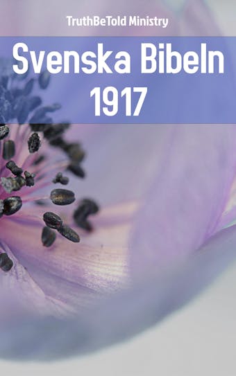 Svenska Bibeln 1917 - undefined