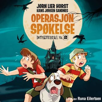 Operasjon Spøkelse - Jørn Lier Horst