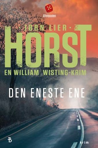 Den eneste ene: kriminalroman