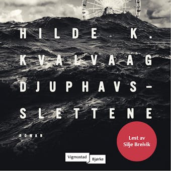 Djuphavsslettene: roman - Hilde K. Kvalvaag