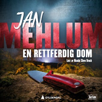 En rettferdig dom - Jan Mehlum