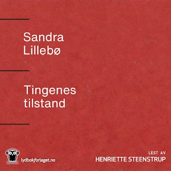 Tingenes tilstand: roman - Sandra Lillebø