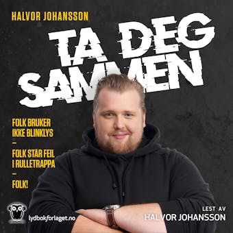 Ta deg sammen - Halvor Johansson