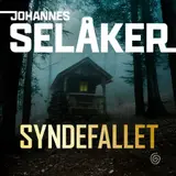 Omslag til Syndefallet