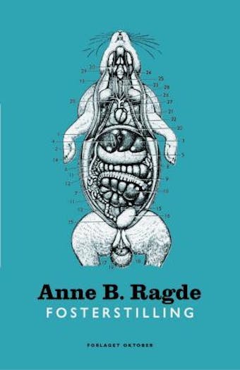 Fosterstilling: noveller - Anne B. Ragde