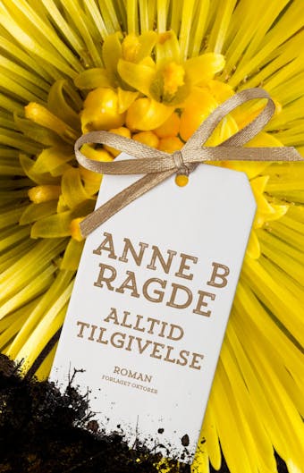 Alltid tilgivelse: roman - Anne B. Ragde