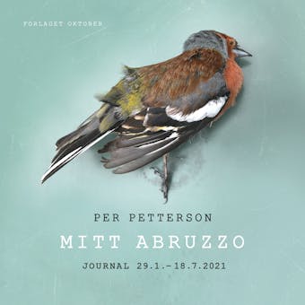 Mitt Abruzzo: journal 29.1. - 18.7. 2021 - undefined